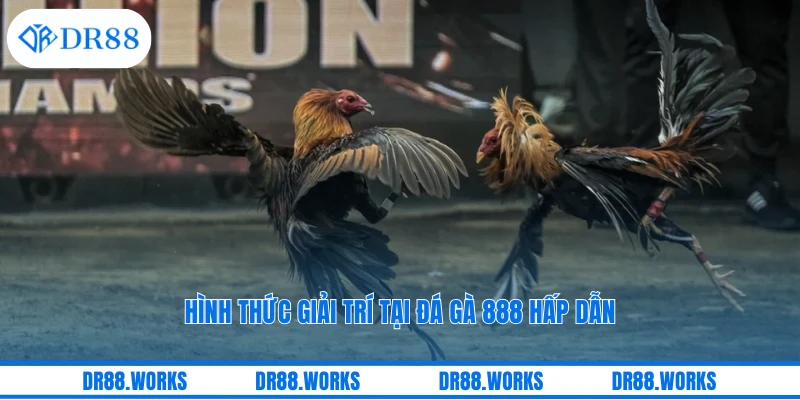Hình thức giải trí tại đá gà 888 hấp dẫn