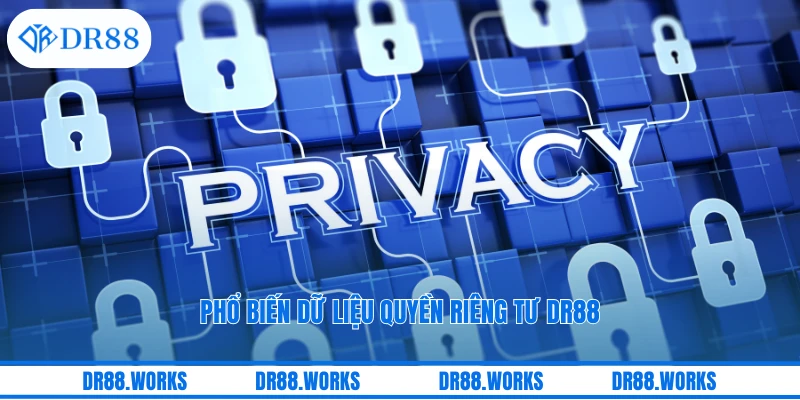 Phổ biến dữ liệu quyền riêng tư DR88