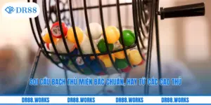 Soi Cầu Bạch Thủ Miền Bắc Chuẩn, Hay Từ Các Cao Thủ