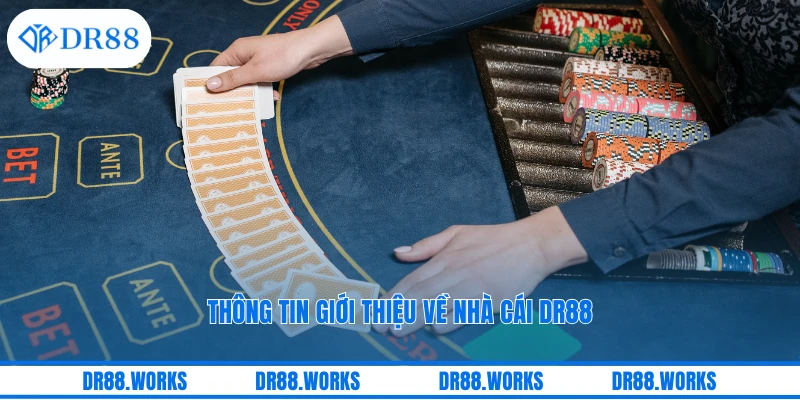 Thông tin giới thiệu về nhà cái DR88