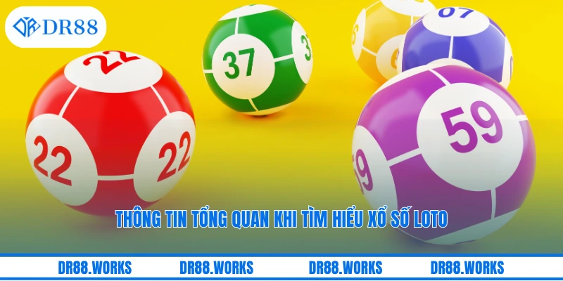 Thông tin tổng quan khi tìm hiểu xổ số Loto