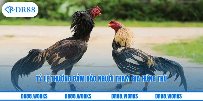 Tỷ lệ thưởng đảm bảo người tham gia hứng thú