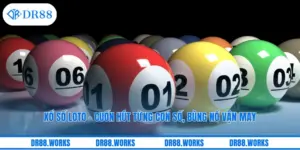 Xổ Số Loto – Cuốn Hút Từng Con Số, Bùng Nổ Vận May